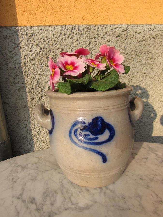 Gite Le Vigneron Donnenheim Exterior photo